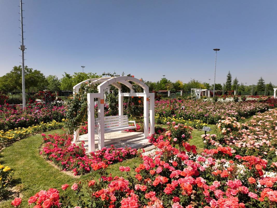 Doğanın en güzel tonları Karatay’da! Her detayıyla hayran bırakıyor 13